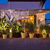 plantas y luces