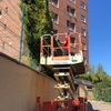 Poda en altura