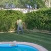 Rulando tepes de cesped recien colocados