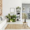 Salón estilo nórdico con plantas decorativas
