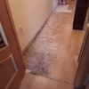 Saneado de parquet antiguo