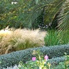 Stipa y Teucrium