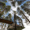 treehotel Mirror Tree House