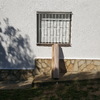 Vista desde la calle