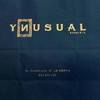 Ynusual vista 04