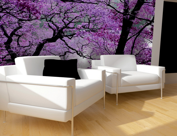 Instalación de Fotomural_602963