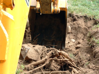 excavaciones_437320
