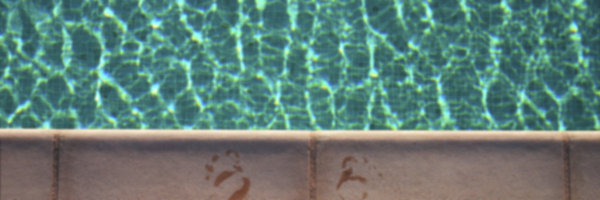Pool 4_603839