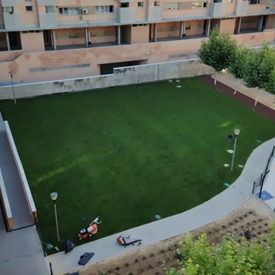 Mantenimiento y plantación te tepe natural con riego